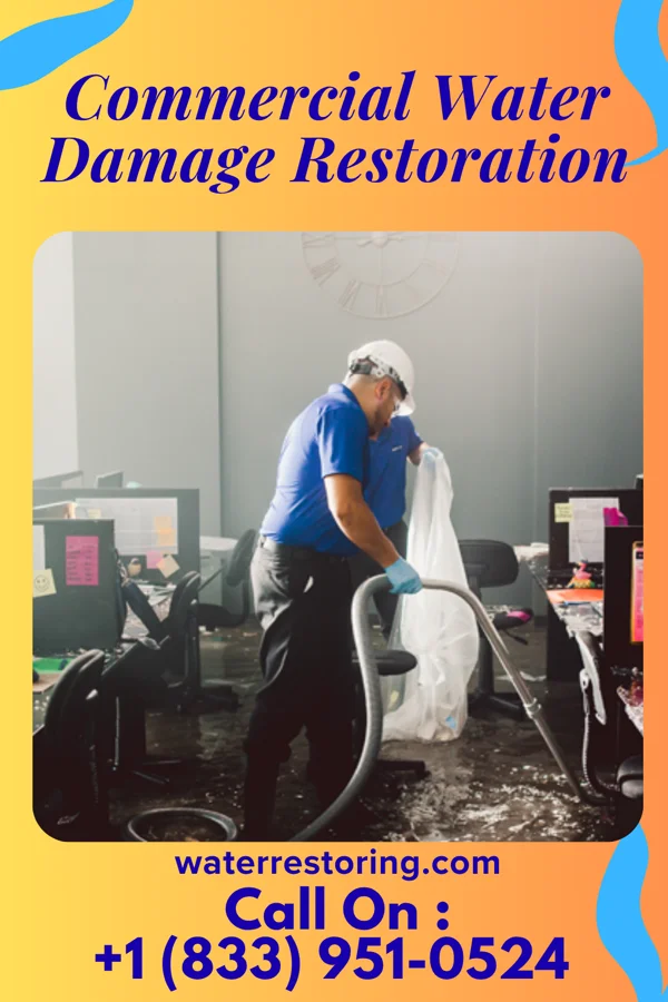 Commercial Water Damage Restoration in Pinedale, NM